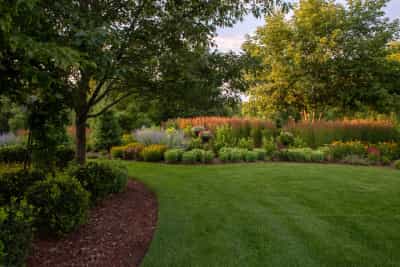 Ready to transform your landscape?